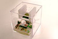Beat Box Arduino accelerometer musical cube